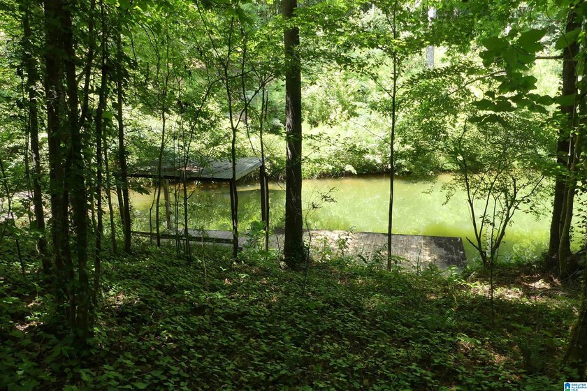 HERE IS A GEAT DEAL ON 2.93 ACRES OF WATER FRONT PROPERTY WITH - photo 8