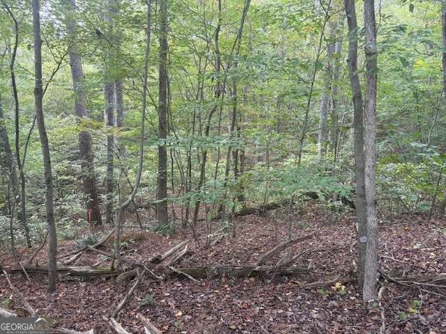 A Great Opportunity! 24.83 acres with Approx. 1120 FT. of road - photo 2