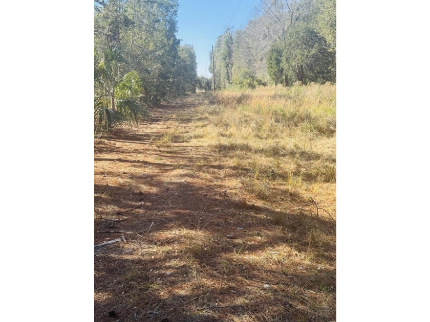 Discover the beauty and serenity of Edisto Island with this - photo 12