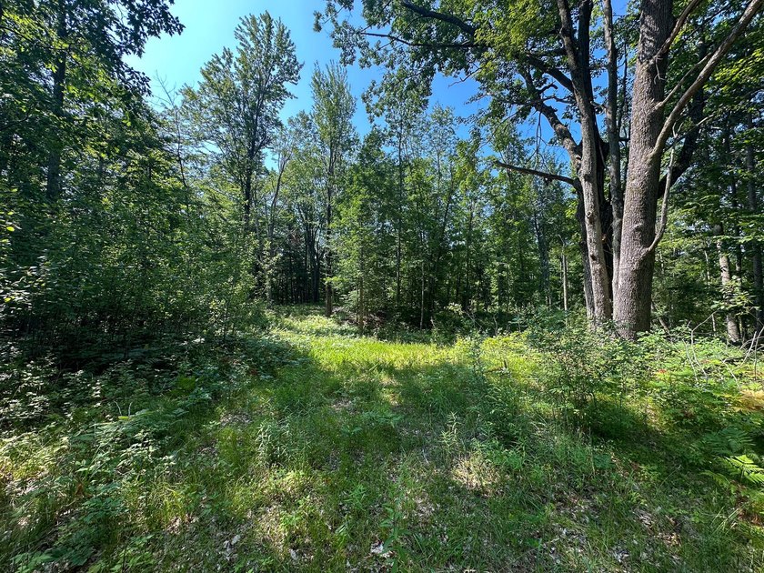 Don't miss this outstanding 40-acre recreational property in the - photo 13