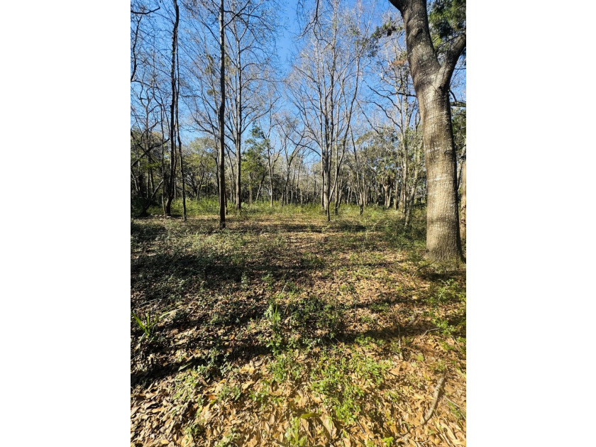 Discover the beauty and serenity of Edisto Island with this - photo 14