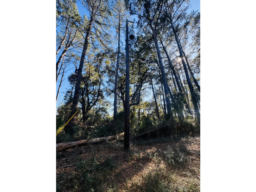 Discover the beauty and serenity of Edisto Island with this - photo 15