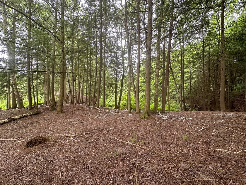 Don't miss this outstanding 40-acre recreational property in the - photo 16