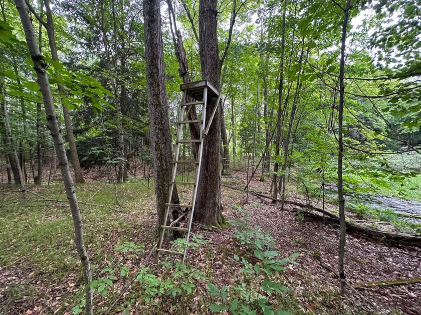 Don't miss this outstanding 40-acre recreational property in the - photo 17