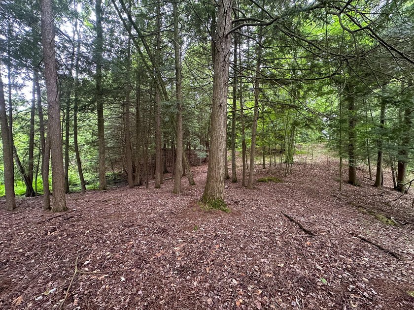 Don't miss this outstanding 40-acre recreational property in the - photo 18