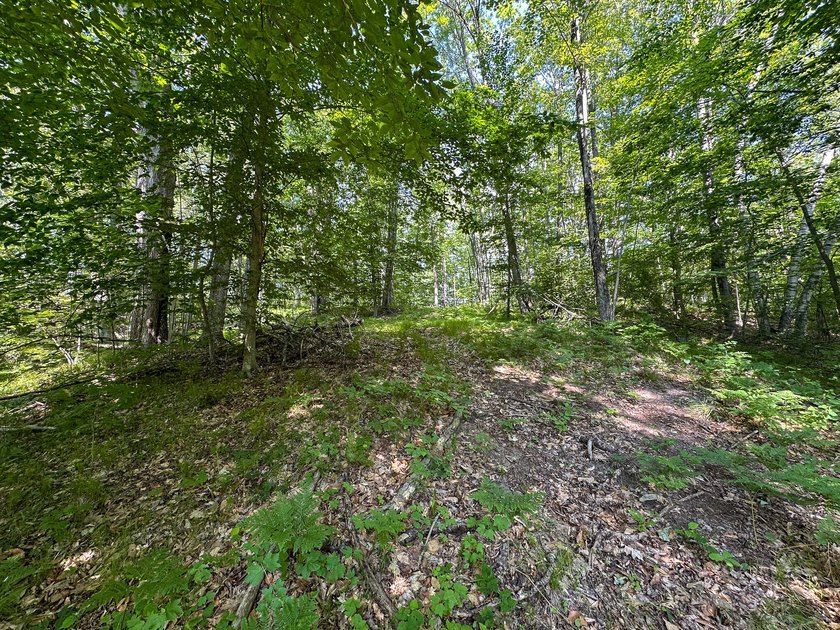 Don't miss this outstanding 40-acre recreational property in the - photo 20