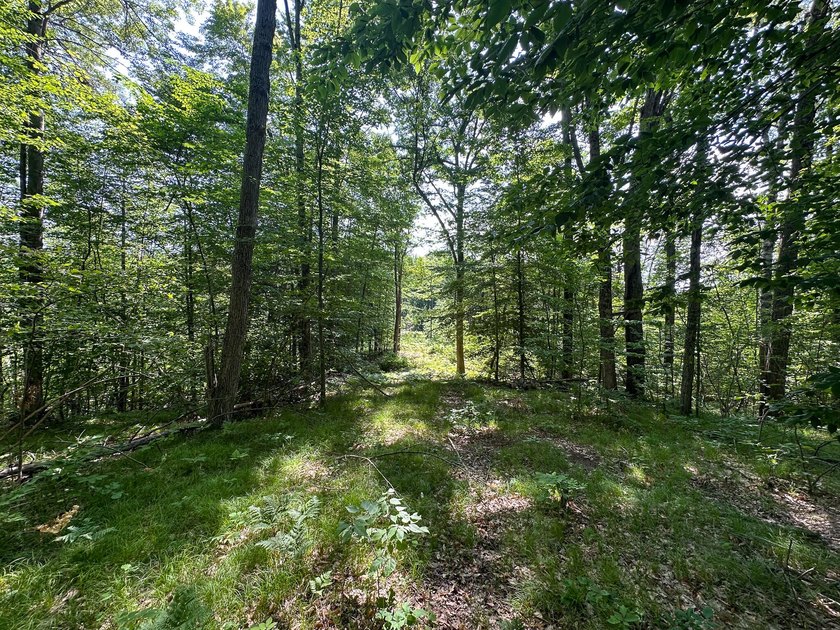 Don't miss this outstanding 40-acre recreational property in the - photo 21