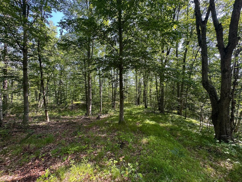 Don't miss this outstanding 40-acre recreational property in the - photo 23