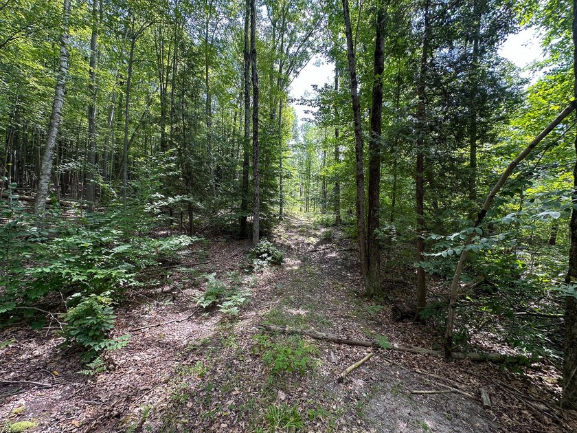 Don't miss this outstanding 40-acre recreational property in the - photo 25
