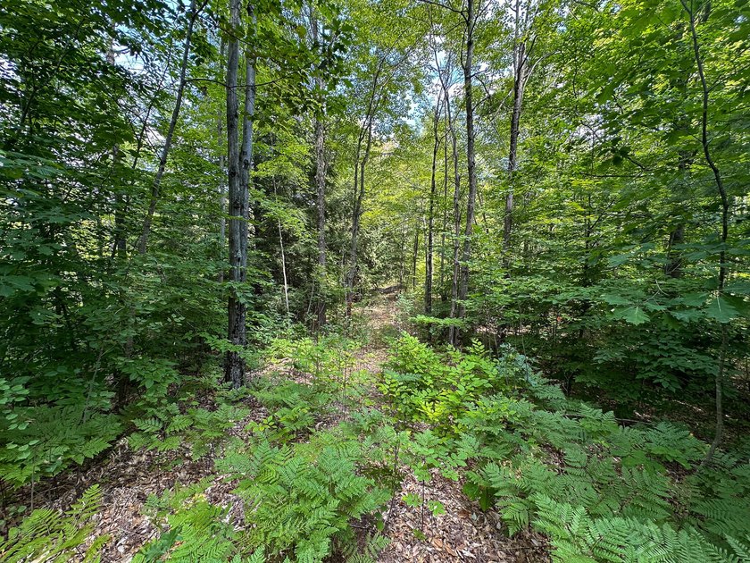 Don't miss this outstanding 40-acre recreational property in the - photo 27