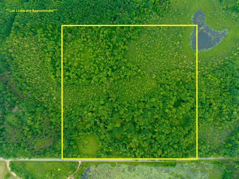 Don't miss this outstanding 40-acre recreational property in the - photo 35