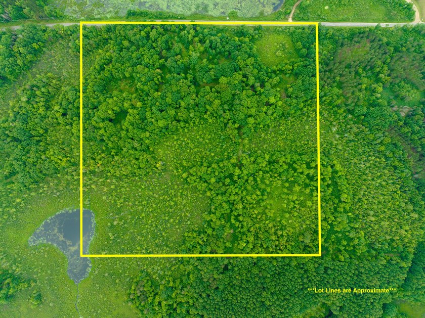 Don't miss this outstanding 40-acre recreational property in the - photo 36
