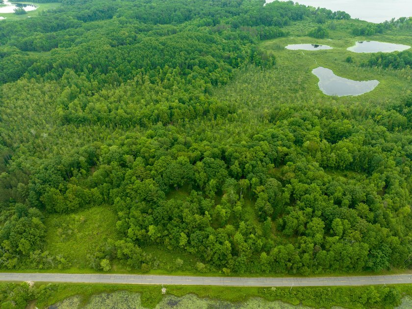 Don't miss this outstanding 40-acre recreational property in the - photo 37