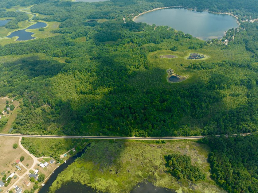 Don't miss this outstanding 40-acre recreational property in the - photo 38