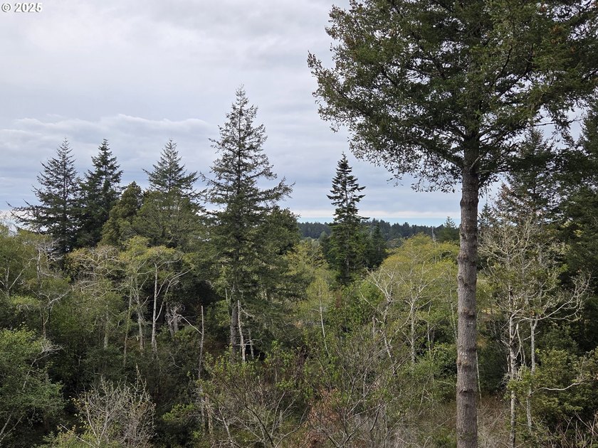 Bright and sunny ocean and forest view home on over 2 acres of - photo 38