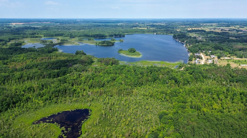Don't miss this outstanding 40-acre recreational property in the - photo 39