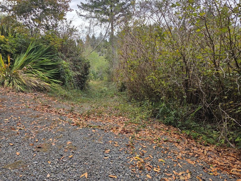 Bright and sunny ocean and forest view home on over 2 acres of - photo 43
