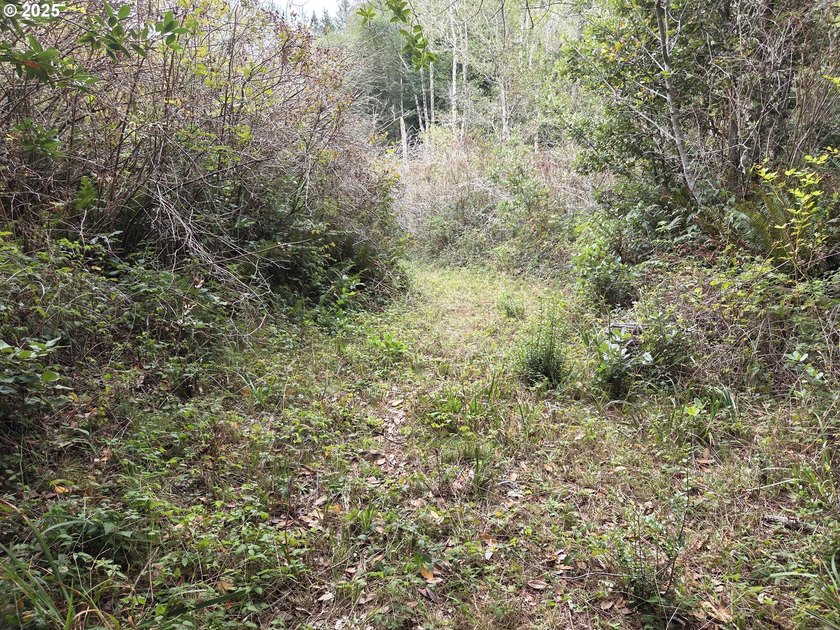 Bright and sunny ocean and forest view home on over 2 acres of - photo 45