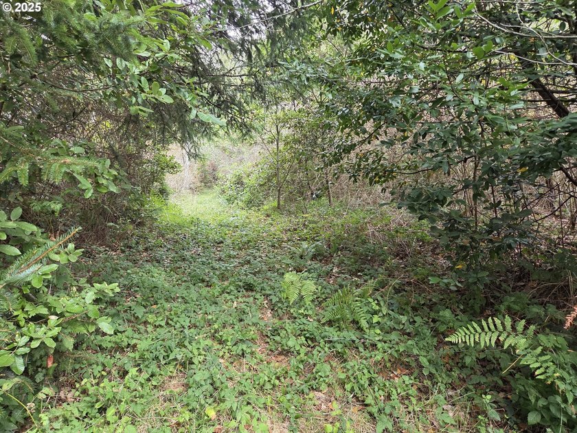 Bright and sunny ocean and forest view home on over 2 acres of - photo 46