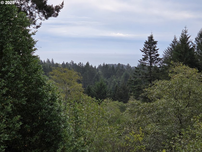 Bright and sunny ocean and forest view home on over 2 acres of - photo 47