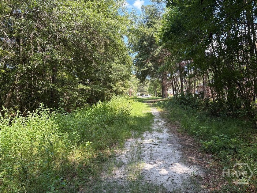 This property is a 14000-sf lot suitable for two 7000 sf - photo 4