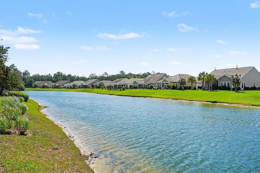 Located in the gated St. David's Township section of Windsor - photo 37