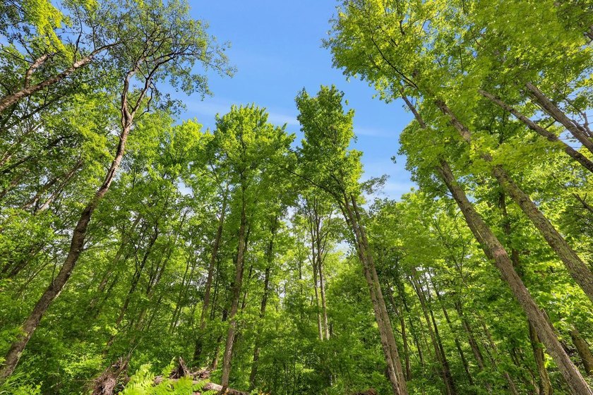 Escape to the beauty of Wisconsin's Northwoods with this - photo 14