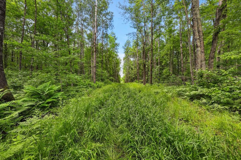 Escape to the beauty of Wisconsin's Northwoods with this - photo 16