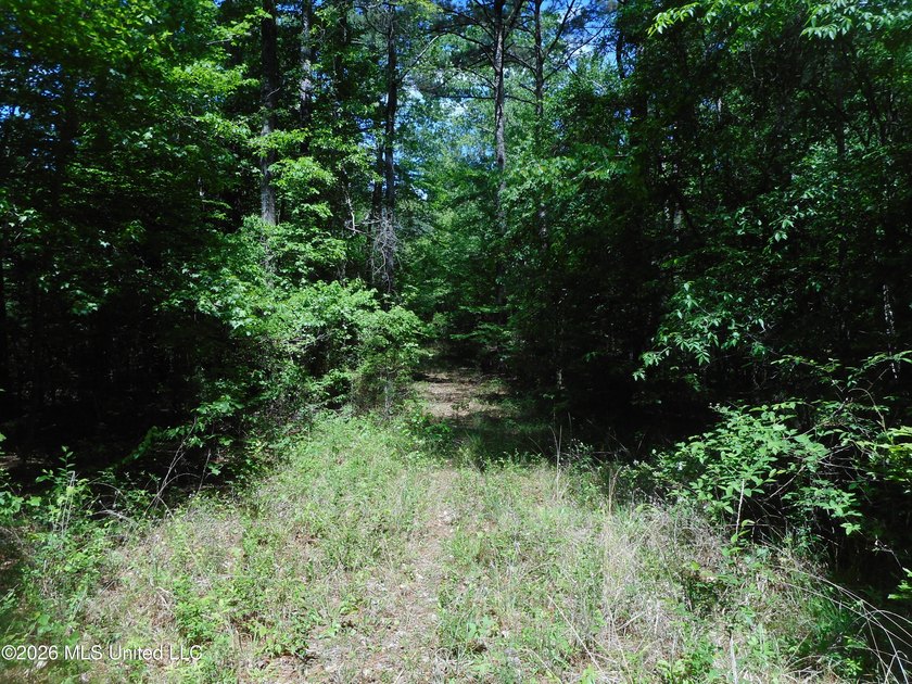 Lena 40+/- acres with about 1,400 feet of frontage along Hwy 25 - photo 24