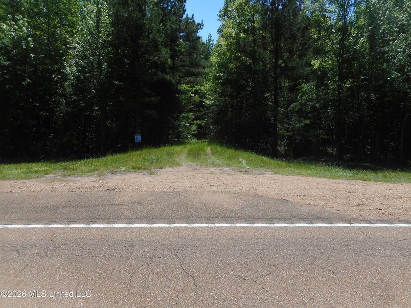 Lena 40+/- acres with about 1,400 feet of frontage along Hwy 25 - photo 31