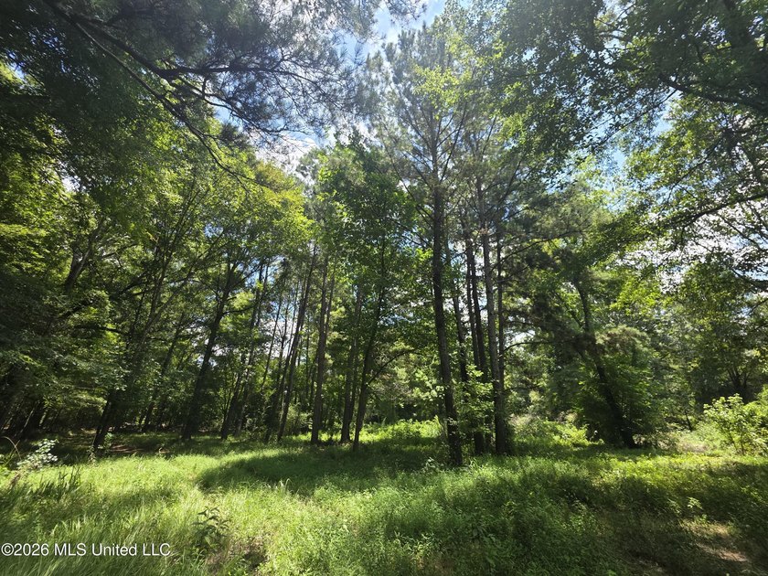 8+/- Acres Bordering Caney Creek Wildlife Management Area | - photo 11