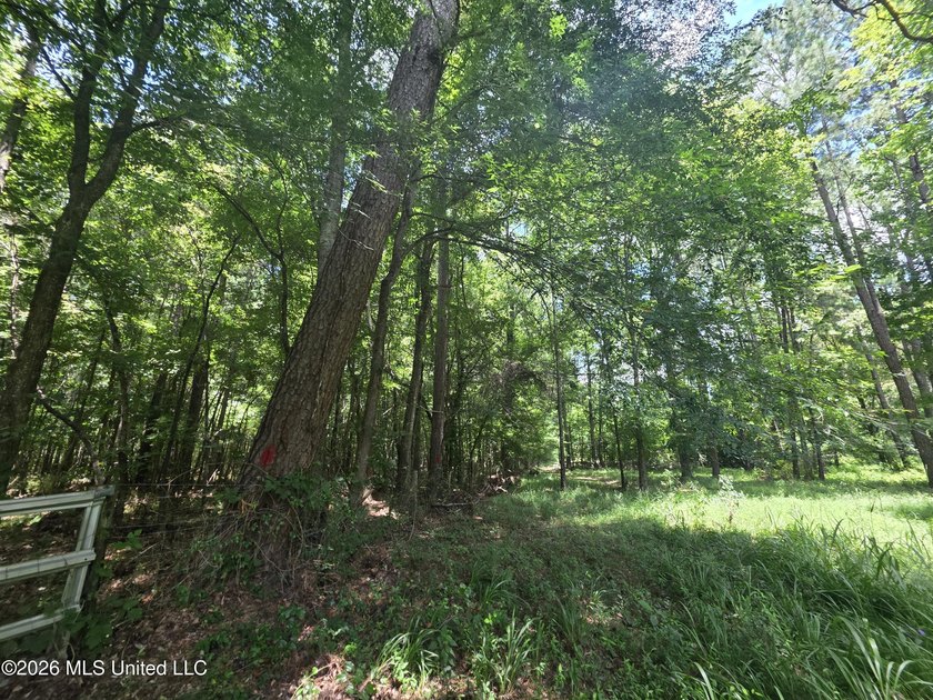8+/- Acres Bordering Caney Creek Wildlife Management Area | - photo 12
