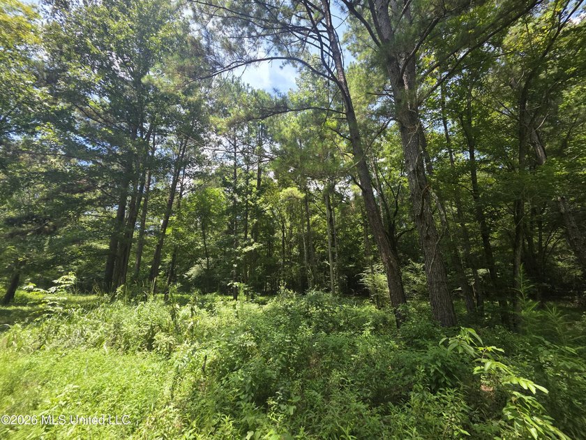 8+/- Acres Bordering Caney Creek Wildlife Management Area | - photo 13