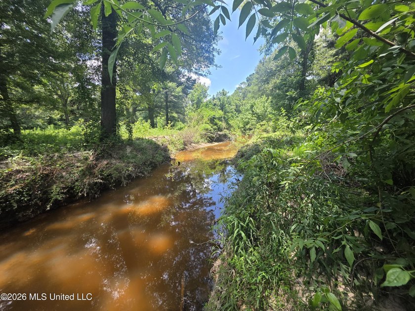 8+/- Acres Bordering Caney Creek Wildlife Management Area | - photo 14