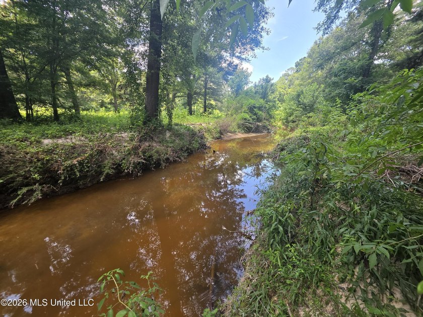 8+/- Acres Bordering Caney Creek Wildlife Management Area | - photo 15