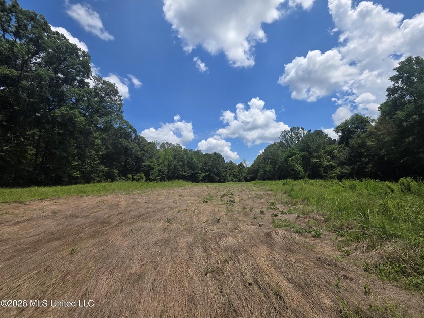 8+/- Acres Bordering Caney Creek Wildlife Management Area | - photo 16