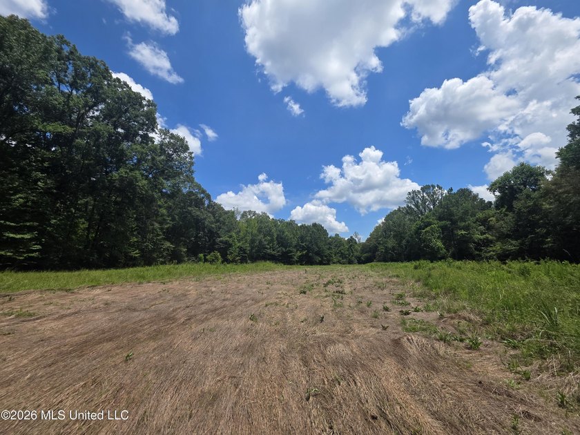 8+/- Acres Bordering Caney Creek Wildlife Management Area | - photo 17