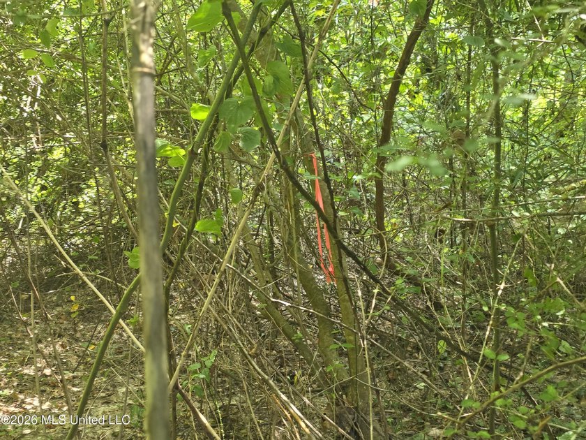 8+/- Acres Bordering Caney Creek Wildlife Management Area | - photo 18