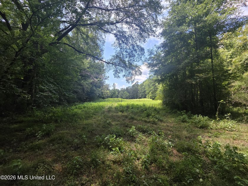 8+/- Acres Bordering Caney Creek Wildlife Management Area | - photo 19