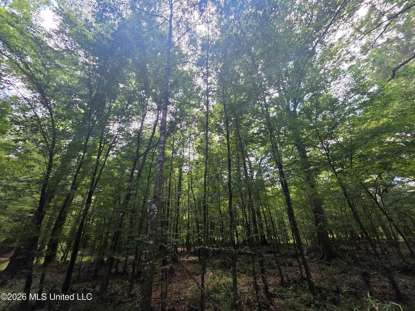 8+/- Acres Bordering Caney Creek Wildlife Management Area | - photo 20