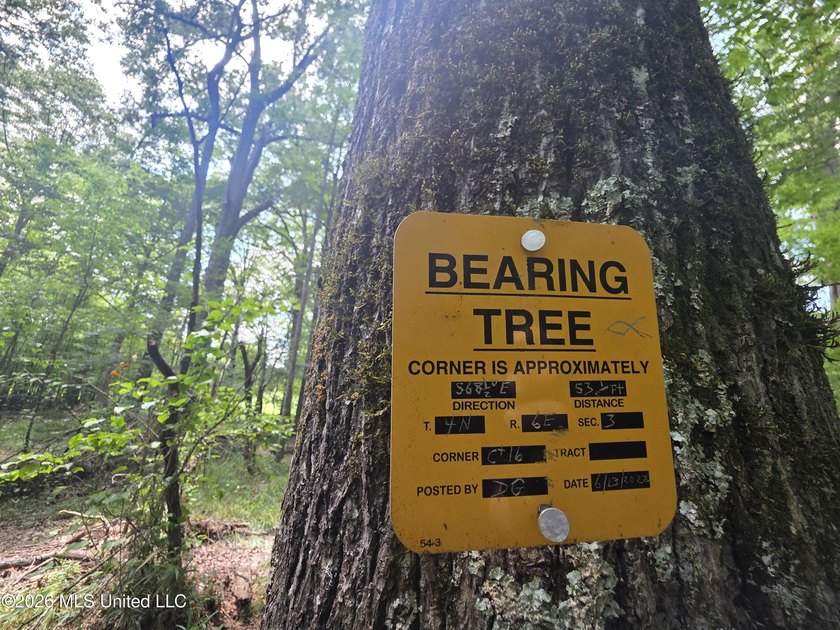 8+/- Acres Bordering Caney Creek Wildlife Management Area | - photo 22