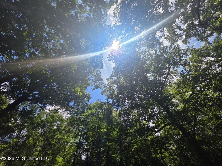 8+/- Acres Bordering Caney Creek Wildlife Management Area | - photo 26