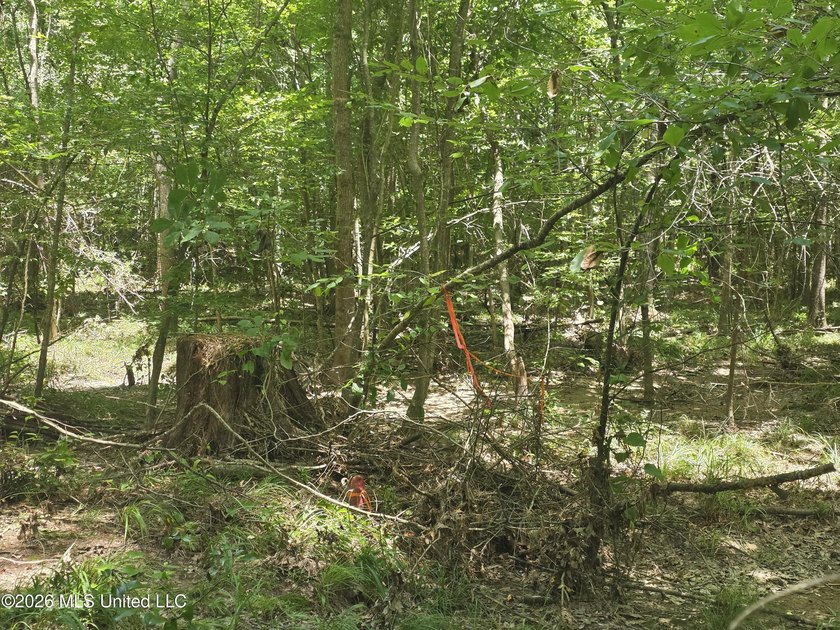 8+/- Acres Bordering Caney Creek Wildlife Management Area | - photo 29
