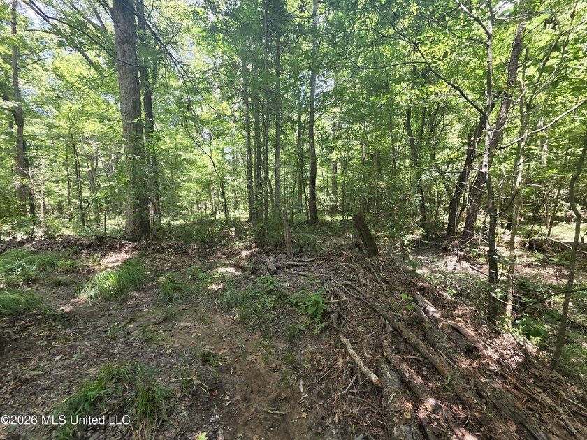 8+/- Acres Bordering Caney Creek Wildlife Management Area | - photo 30