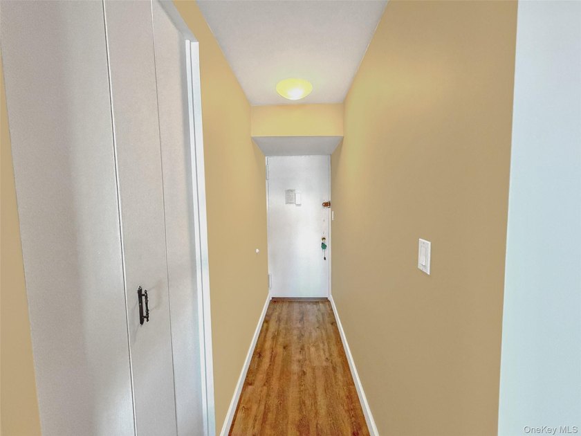 1 Bedroom Apartment for Sale in Forest Hills NY - Fully - photo 4