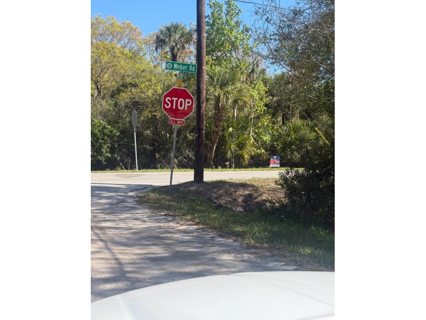 3.33 RESIDENTIAL LOT! One of the last residential lots in Grant - photo 2