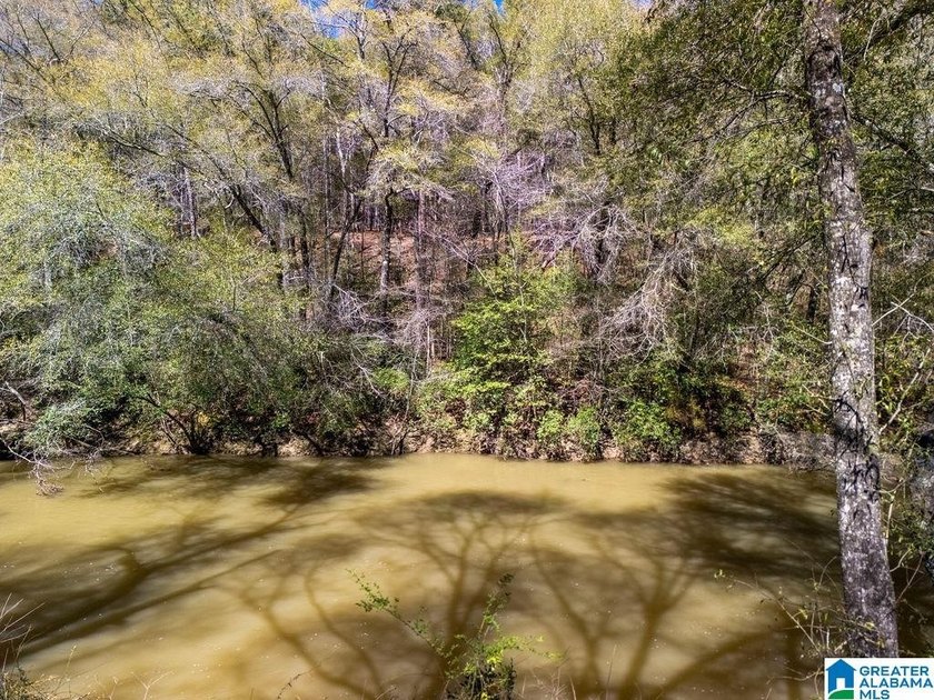 Blue Water Bend is a premier gated community in Jasper, AL - photo 15