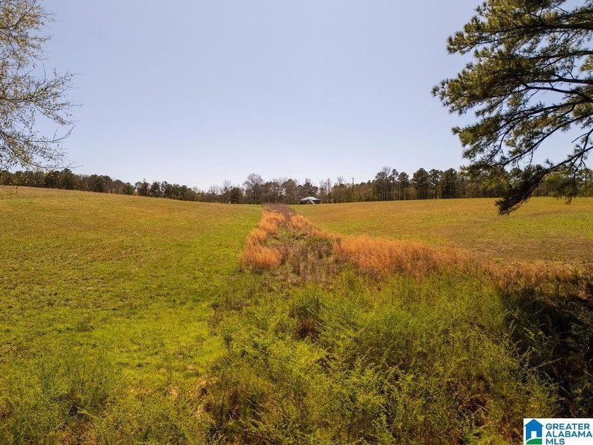Blue Water Bend is a premier gated community in Jasper, AL - photo 16