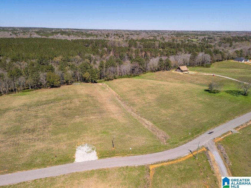 Blue Water Bend is a premier gated community in Jasper, AL - photo 19