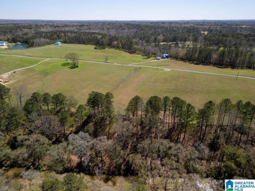 Blue Water Bend is a premier gated community in Jasper, AL - photo 27